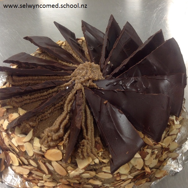 Continental Cakes Selwyn Community Education